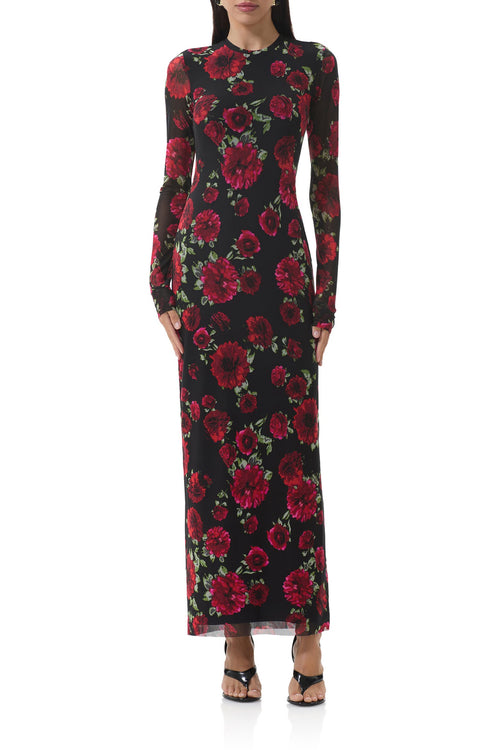 AFRM - Didi Painted Roses Mesh Maxi - Small