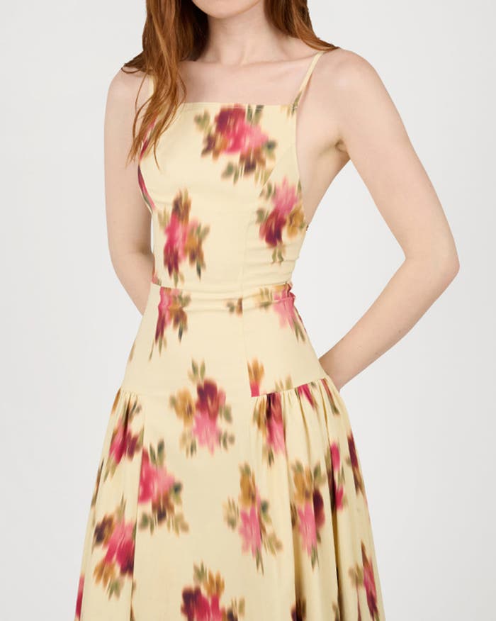 WeWoreWhat - Blurred Floral Flare Panel Midi Dress - Size 4
